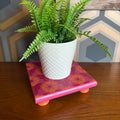 Handpainted reclaimed wooden plant stand displaying a houseplant on a colourful handmade wooden riser made from reclaimed wood.
