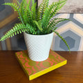 Handpainted reclaimed wooden plant stand displaying a houseplant on a colourful handmade wooden riser made from reclaimed wood.