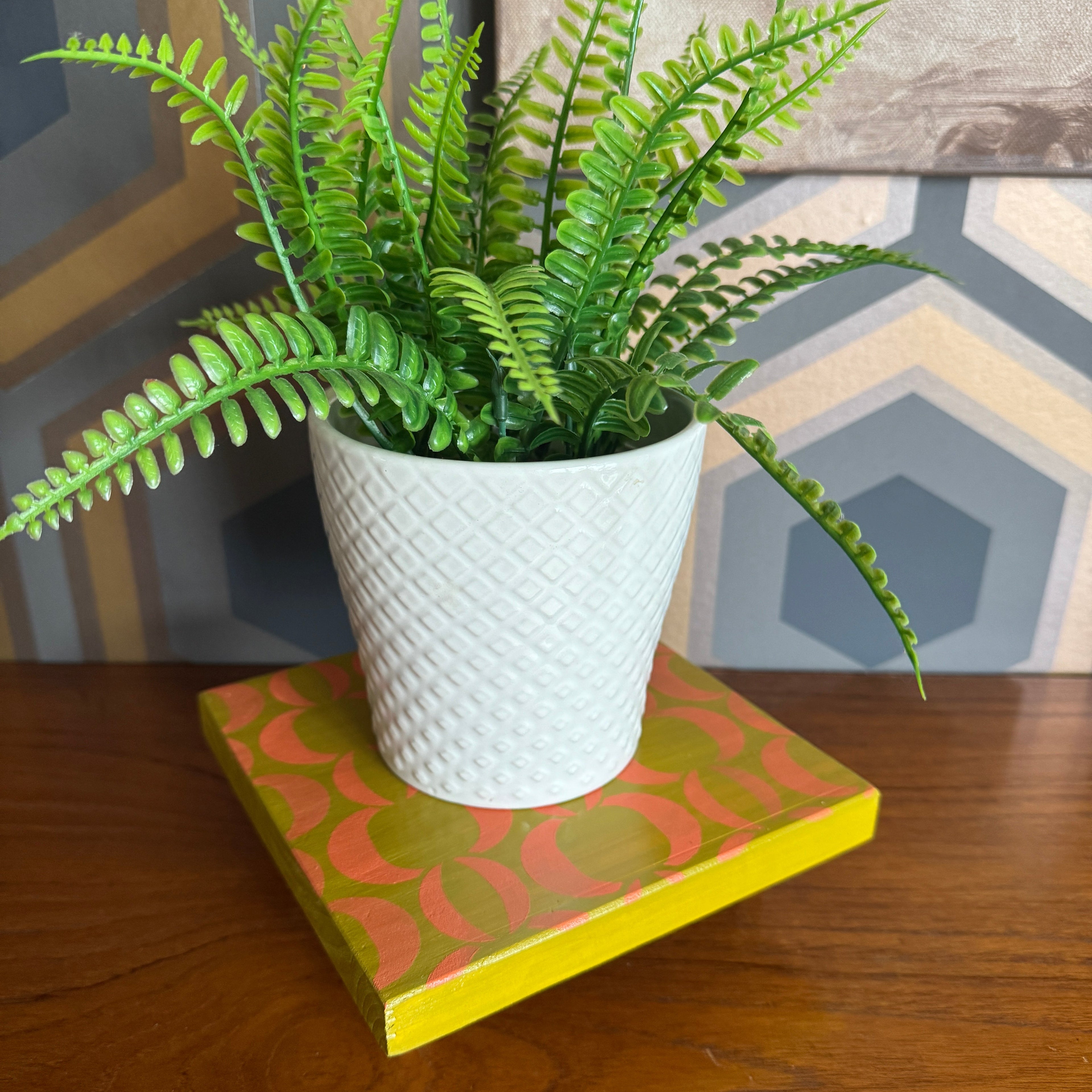 Handpainted reclaimed wooden plant stand displaying a houseplant on a colourful handmade wooden riser made from reclaimed wood.