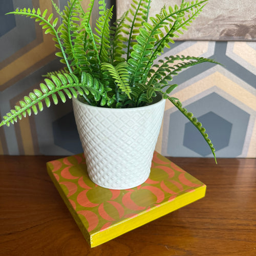 Handpainted reclaimed wooden plant stand displaying a houseplant on a colourful handmade wooden riser made from reclaimed wood.