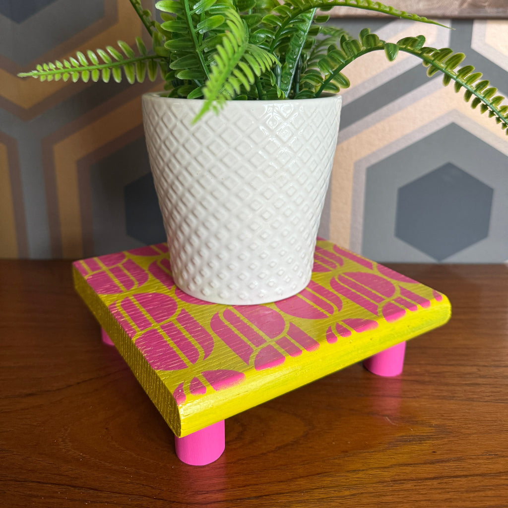 Handpainted reclaimed wooden plant stand displaying a houseplant on a colourful handmade wooden riser made from reclaimed wood.